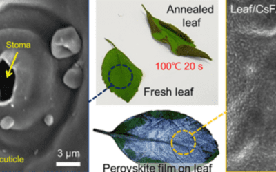 Partners at UCSB Develop New Ways to Fabricate Perovskite Films