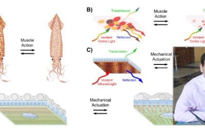 Tunable warmth in novel garments developed by our Partners at UC Irvine